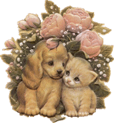 kitten and puppy