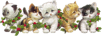 kittens