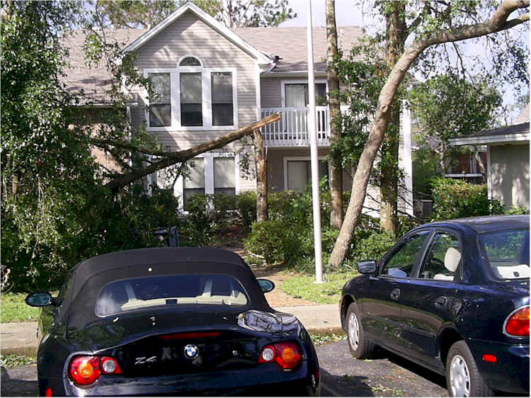hur-den_v-snapped-tree02.jpg, 80 KB