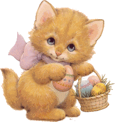 kitty