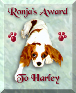 Ronja's Award