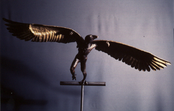 Icuris Taking off