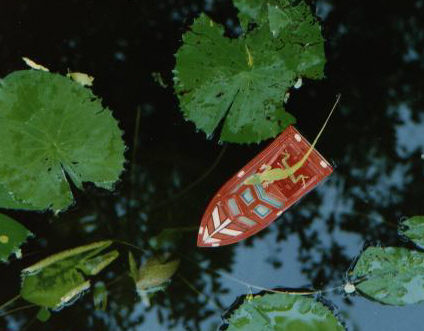 Evanrude in his a boat