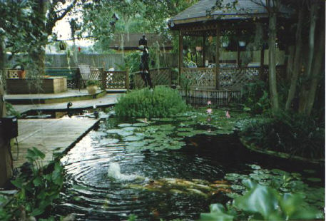 Mary's Mill Pond