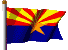 Picture of Arizona State Flag