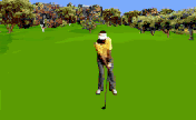 Picture of golfer