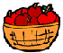 Picture of Basket of Apples