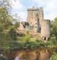 Picture of Blarney Castle