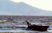 Picture of Lake Chapala