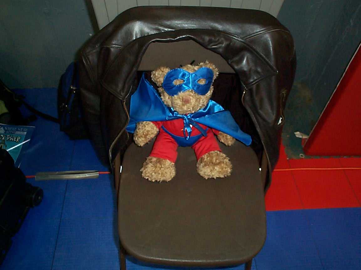 Captain Geek Bear