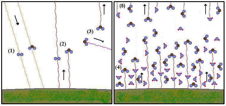Greenhouse Effect Cartoon