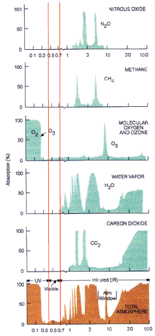 Absorption of Radiation