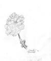 Mark Conrad - Sketch of Flower
