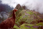 PERU (fotografija: Chrystele Rives)