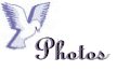 dovewedphoto.jpg (2212 bytes)