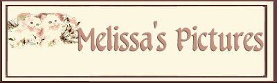 Melissa's Pics