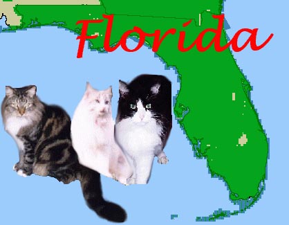 We love Florida!