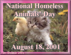 National Homelss Animal Day