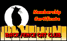 Back Fence Cat Club!