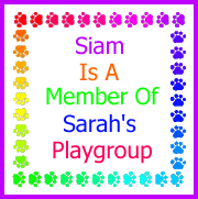 Sarah's Playgroup!