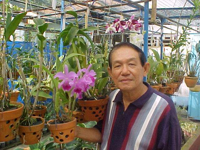 Click to go to MinhChau's Orchid Photo Album