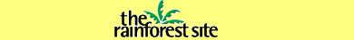 Save the Rainforest!