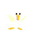 White Duck Flapping Wings