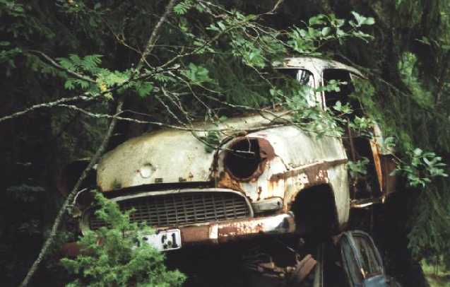 Partially hidden in the fir trees 1956 Opel Olympia Rekord