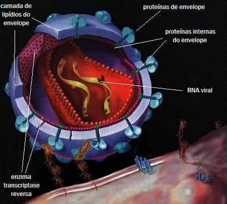 Artigo sobre aids