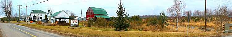 Murphy's Tree Farm, Selkirk Ontario. Canada.