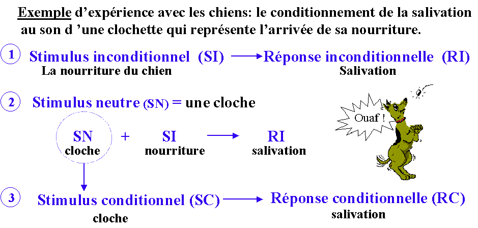 Conditionnement Classique; reflexe conditionne; reflexe Conditionnement Classique; reflexe conditionne; reflexe