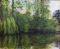 Moat willow painting