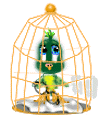 little green bird in a cage jumping up and down
