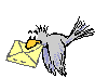 animated flying grey bird with yellow envelope in his beak