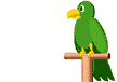 animated green parrot on a perch saying hello
