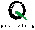 Q Prompting