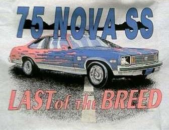 1975 Nova SS  Last of The Breed 
Click_to_enter_my_1975_Nova_SS_website
