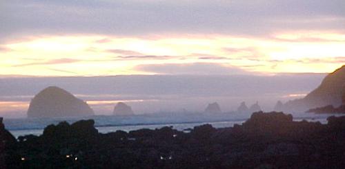 anyaw.jpg (13322 bytes)