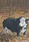 cow.JPG (46991 bytes)
