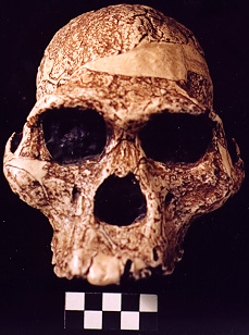 Two main ways of dating fossils