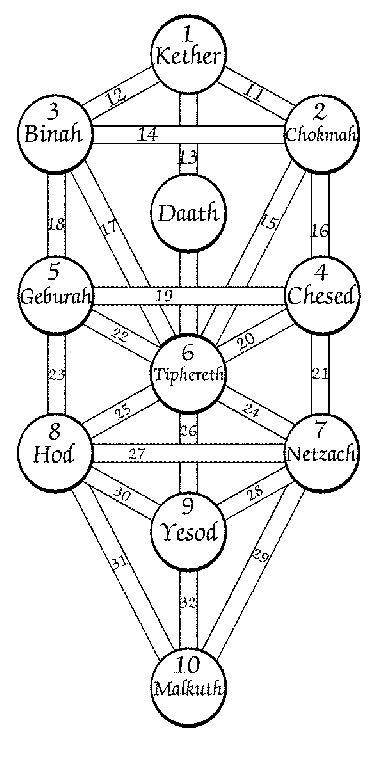 tree of life. Tree of Life