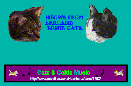 Eric and Ernie Cats