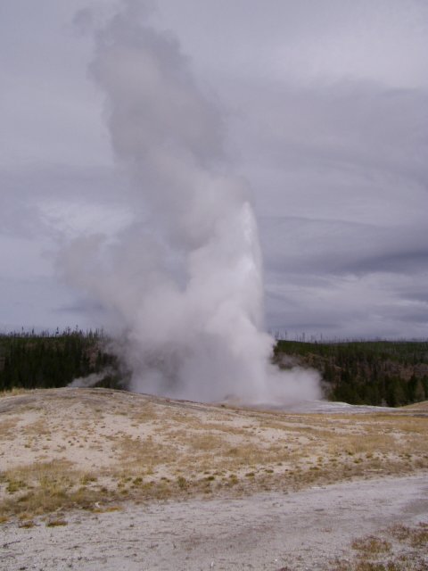 Old Faithful
