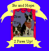 Bo and Hope's Award