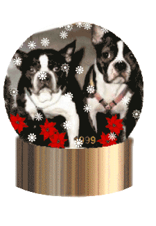 Penny's Gift