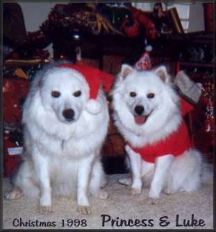 Happy Holidays from Princess and Luke