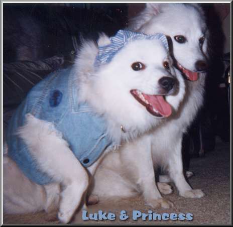 Luke and Princess