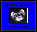 PETS2000 Critter Corner