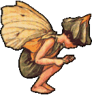 Fairy