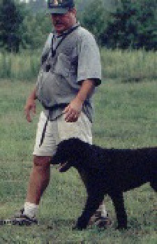 obedience training for all medium or large dogs